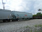 CN 115405 is new to RRPA!